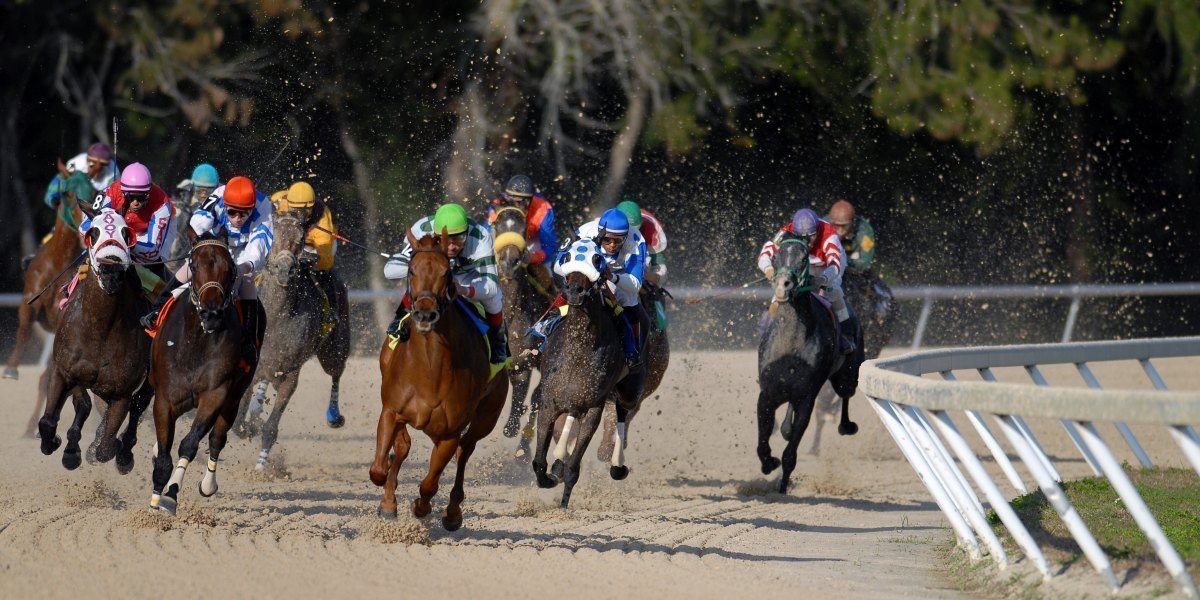 Waarom het essentieel is om uw Duitse klant te begrijpen en te spreken